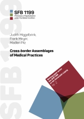 Cross-border Assemblages of Medical Practices 